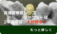 レジン ジャケット冠